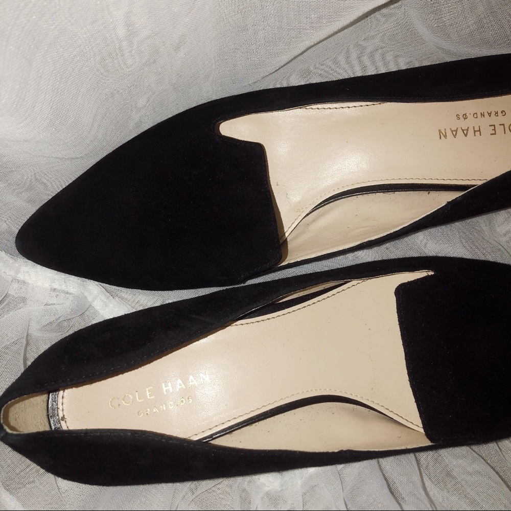 Cole Haan pointed toe suede flats